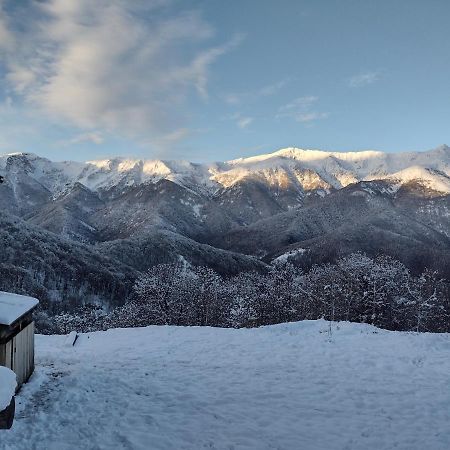 Rifugio Alpino Baudinet - Trek&Relax Acomodação com café da manhã Chiusa di Pesio Exterior foto