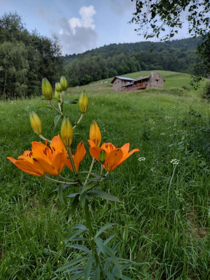 Rifugio Alpino Baudinet - Trek&Relax Acomodação com café da manhã Chiusa di Pesio Exterior foto