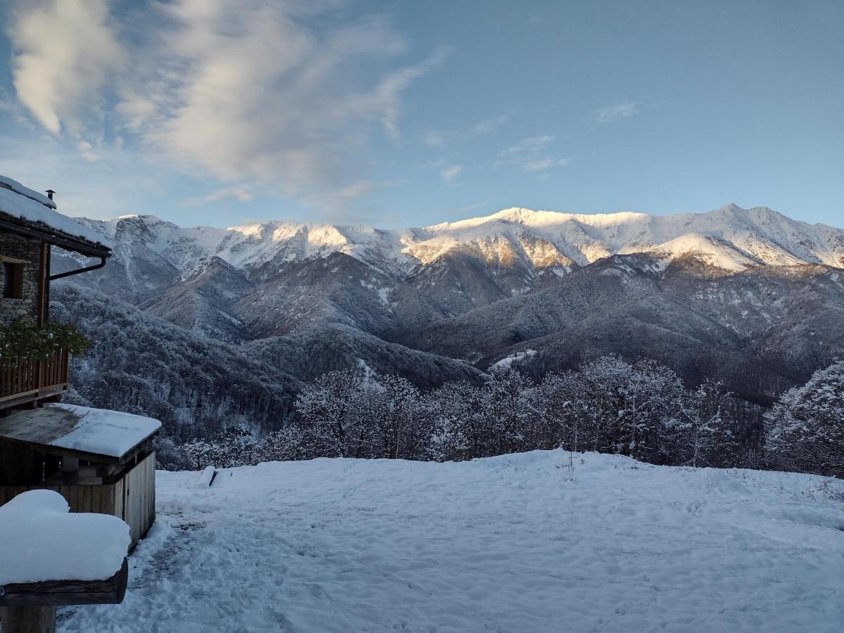 Rifugio Alpino Baudinet - Trek&Relax Acomodação com café da manhã Chiusa di Pesio Exterior foto