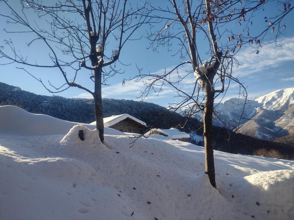 Rifugio Alpino Baudinet - Trek&Relax Acomodação com café da manhã Chiusa di Pesio Exterior foto